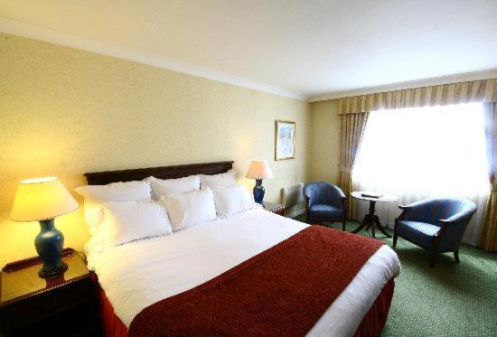Hotel Urban